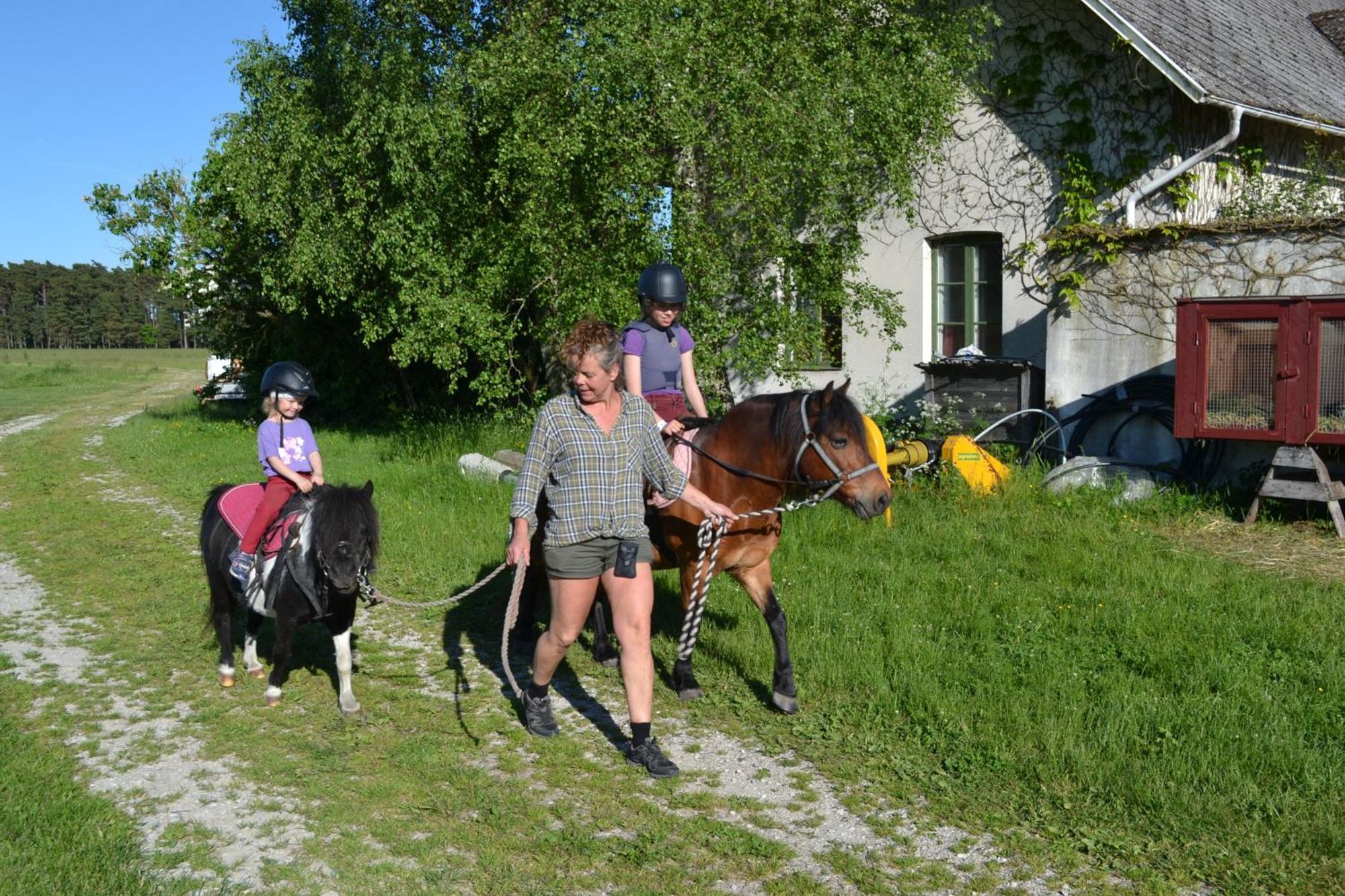 Gangvidefarm Villa Stånga Exterior foto